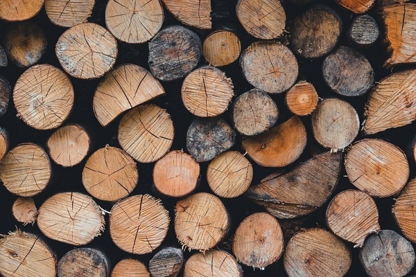 Holz